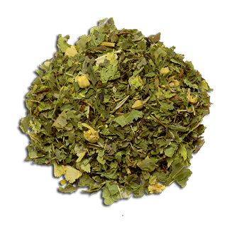 Les belles endormies