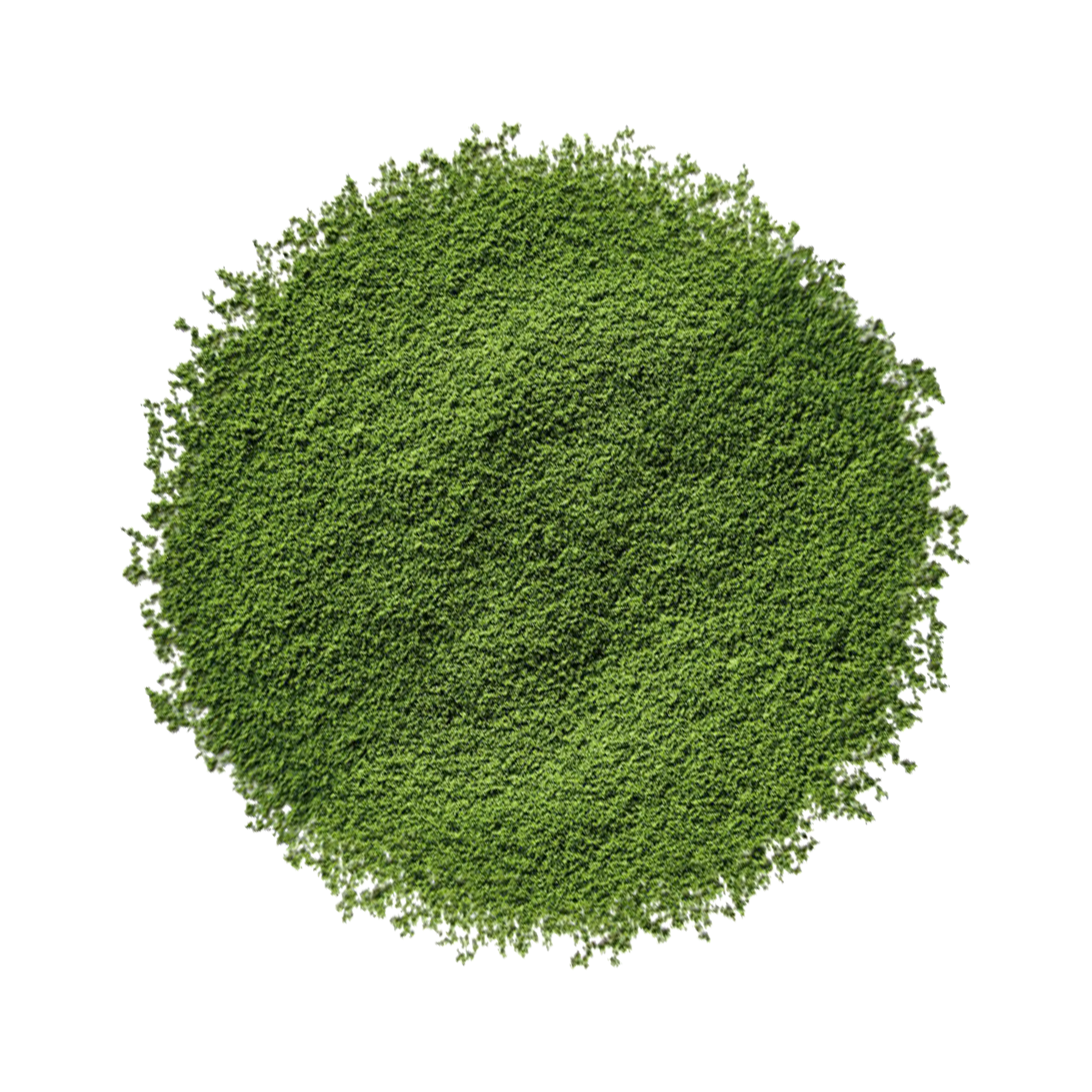 Matcha d'UJI Kyoto -Thé en poudre